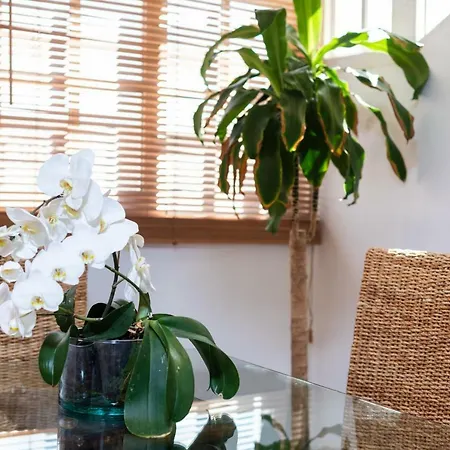 Duplex Charco Del Valle With Sea View